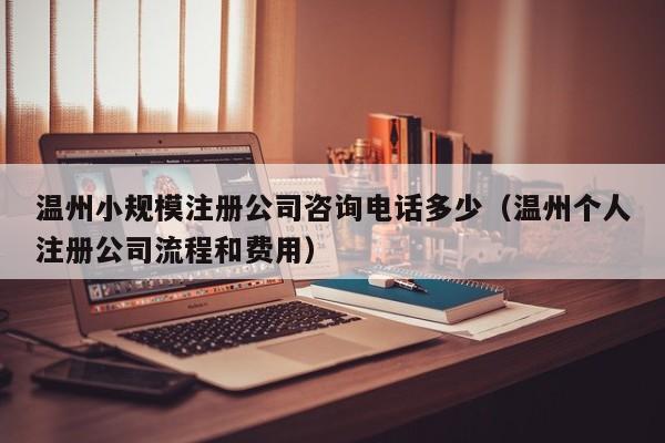 温州小规模注册公司咨询电话多少（温州个人注册公司流程和费用）