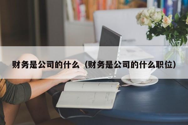 财务是公司的什么（财务是公司的什么职位）