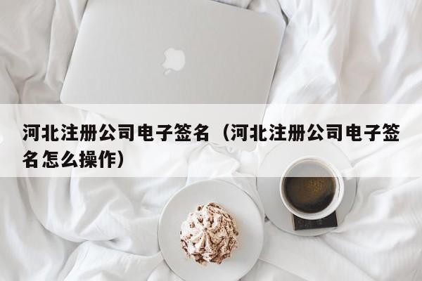 河北注册公司电子签名（河北注册公司电子签名怎么操作）