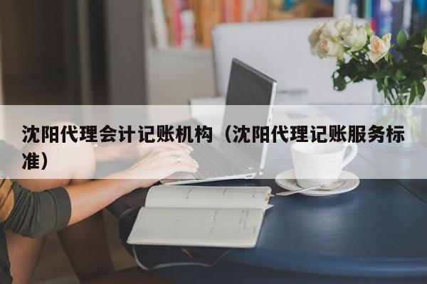 沈阳代理会计记账机构（沈阳代理记账服务标准）