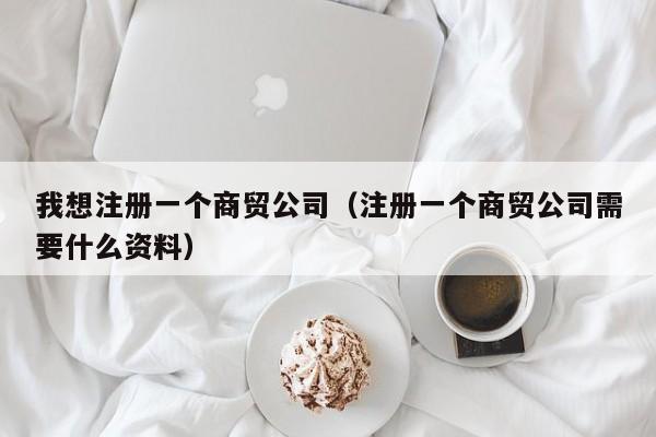 我想注册一个商贸公司（注册一个商贸公司需要什么资料）