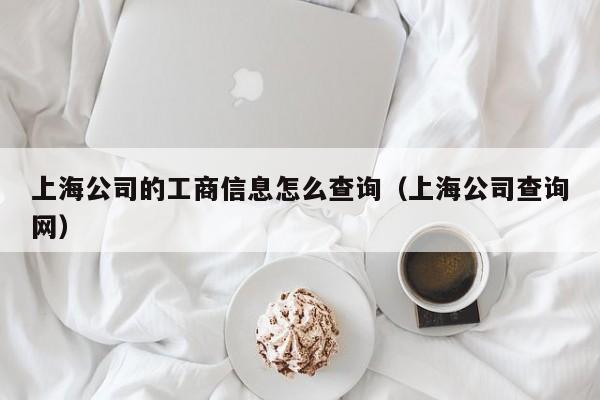 上海公司的工商信息怎么查询（上海公司查询网）
