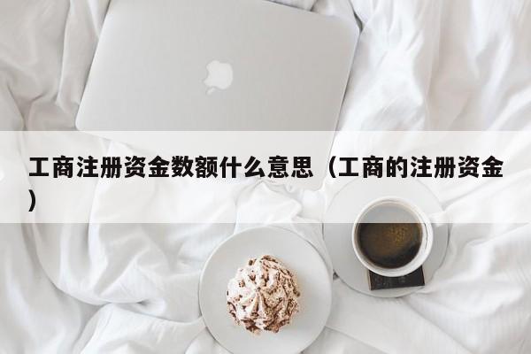 工商注册资金数额什么意思（工商的注册资金）