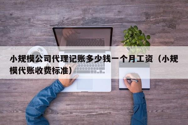 小规模公司代理记账多少钱一个月工资（小规模代账收费标准）