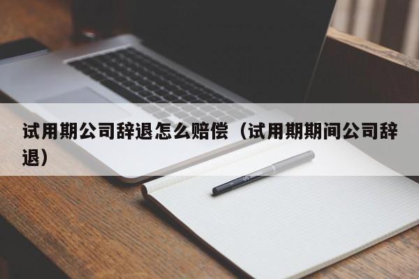 试用期公司辞退怎么赔偿（试用期期间公司辞退）