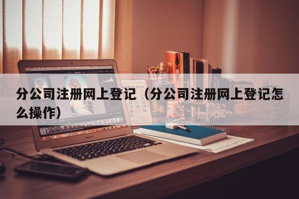 分公司注册网上登记（分公司注册网上登记怎么操作）