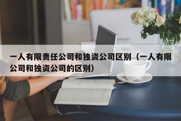 一人有限责任公司和独资公司区别（一人有限公司和独资公司的区别）
