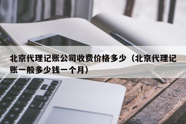 北京代理记账公司收费价格多少（北京代理记账一般多少钱一个月）