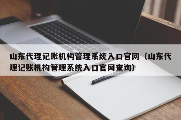山东代理记账机构管理系统入口官网（山东代理记账机构管理系统入口官网查询）