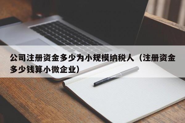 公司注册资金多少为小规模纳税人（注册资金多少钱算小微企业）