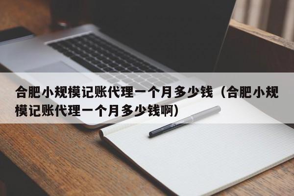 合肥小规模记账代理一个月多少钱（合肥小规模记账代理一个月多少钱啊）