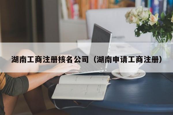 湖南工商注册核名公司（湖南申请工商注册）