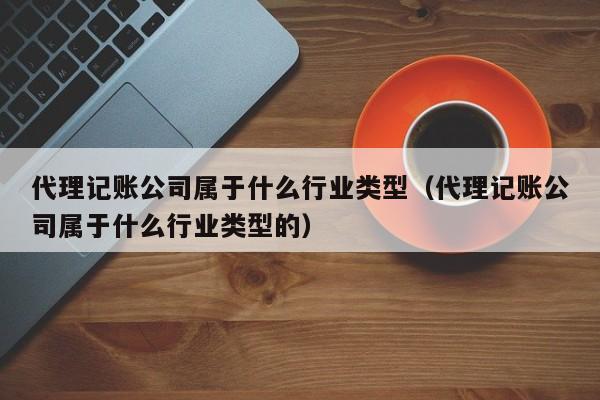 代理记账公司属于什么行业类型（代理记账公司属于什么行业类型的）
