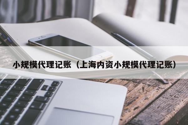 小规模代理记账（上海内资小规模代理记账）