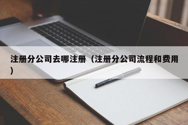 注册分公司去哪注册（注册分公司流程和费用）