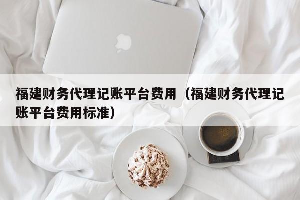 福建财务代理记账平台费用（福建财务代理记账平台费用标准）