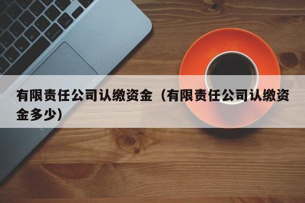 有限责任公司认缴资金（有限责任公司认缴资金多少）