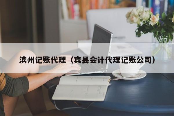 滨州记账代理（宾县会计代理记账公司）
