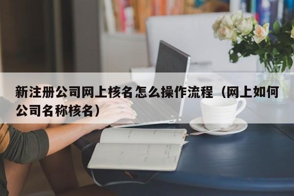 新注册公司网上核名怎么操作流程（网上如何公司名称核名）