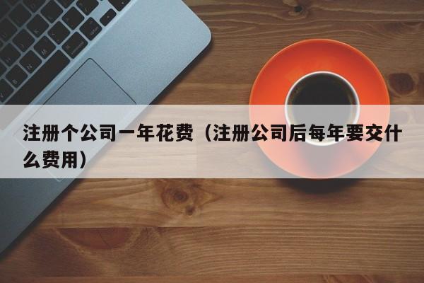 注册个公司一年花费（注册公司后每年要交什么费用）