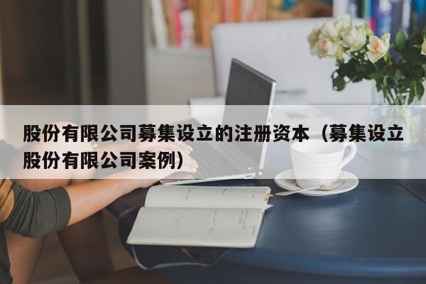 股份有限公司募集设立的注册资本（募集设立股份有限公司案例）