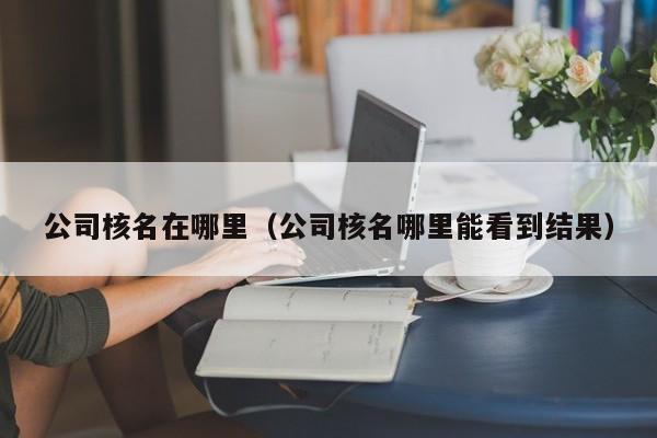 公司核名在哪里（公司核名哪里能看到结果）