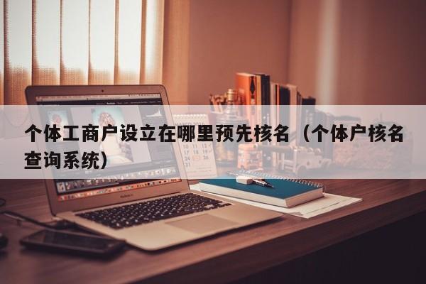 个体工商户设立在哪里预先核名（个体户核名查询系统）
