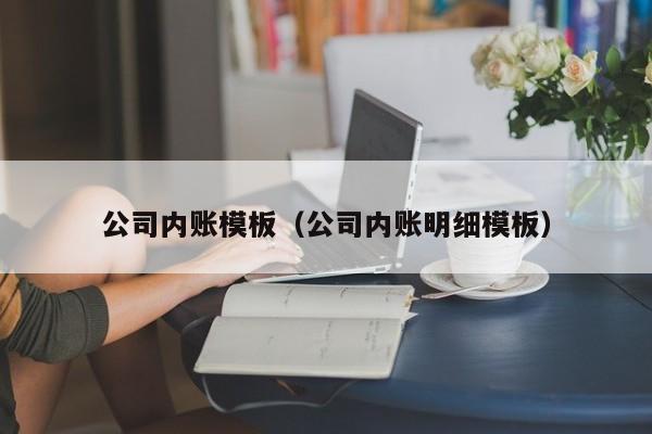 公司内账模板（公司内账明细模板）