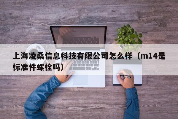上海凌桑信息科技有限公司怎么样（m14是标准件螺栓吗）