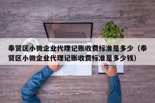 奉贤区小微企业代理记账收费标准是多少（奉贤区小微企业代理记账收费标准是多少钱）