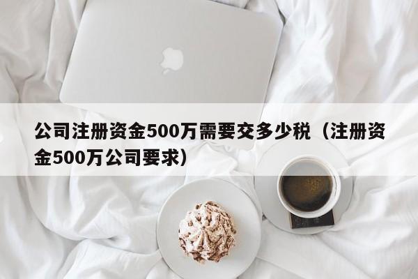 公司注册资金500万需要交多少税（注册资金500万公司要求）