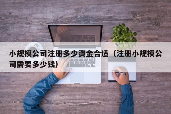 小规模公司注册多少资金合适（注册小规模公司需要多少钱）