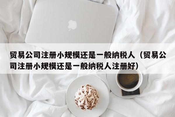贸易公司注册小规模还是一般纳税人（贸易公司注册小规模还是一般纳税人注册好）