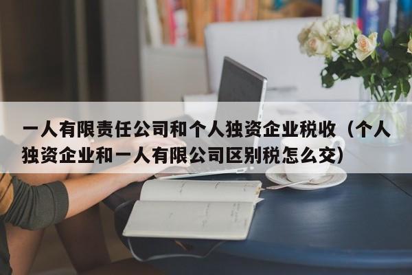 一人有限责任公司和个人独资企业税收（个人独资企业和一人有限公司区别税怎么交）
