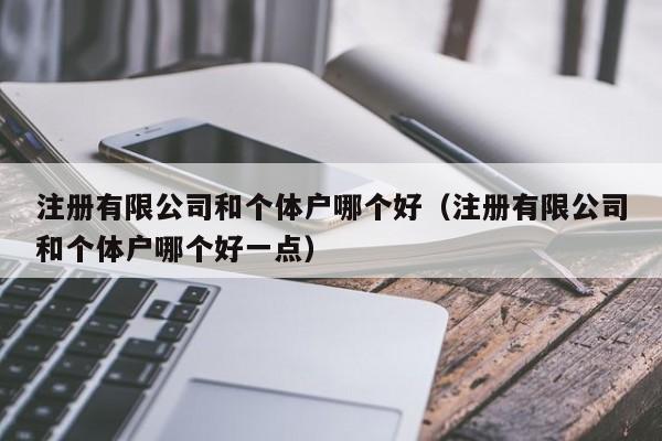 注册有限公司和个体户哪个好（注册有限公司和个体户哪个好一点）