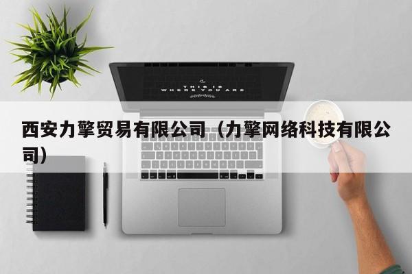 西安力擎贸易有限公司（力擎网络科技有限公司）