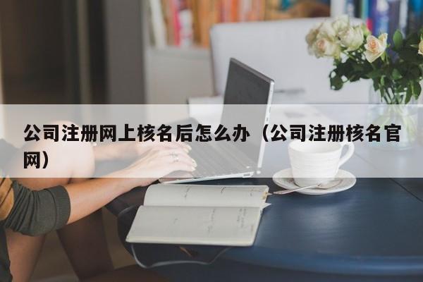 公司注册网上核名后怎么办（公司注册核名官网）