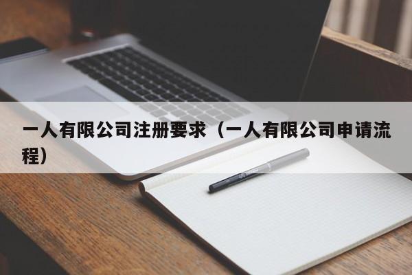一人有限公司注册要求（一人有限公司申请流程）