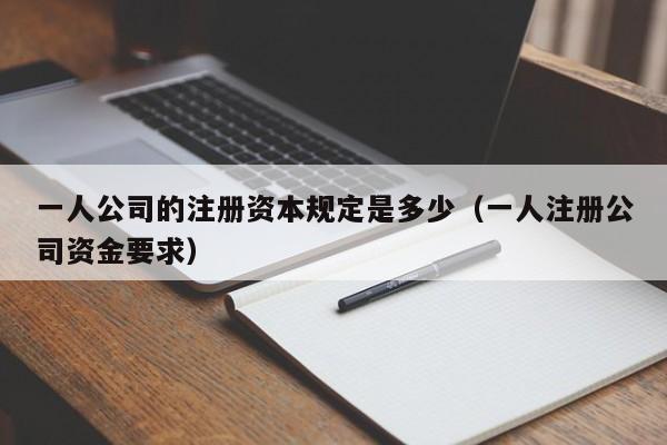 一人公司的注册资本规定是多少（一人注册公司资金要求）