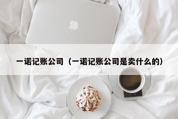 一诺记账公司（一诺记账公司是卖什么的）