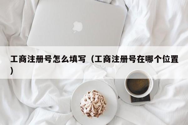 工商注册号怎么填写（工商注册号在哪个位置）