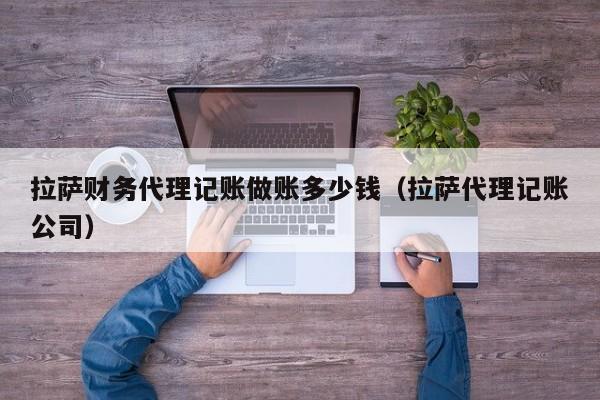 拉萨财务代理记账做账多少钱（拉萨代理记账公司）