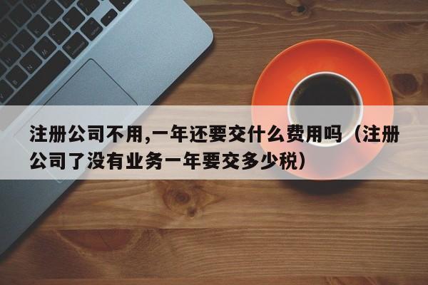 注册公司不用,一年还要交什么费用吗（注册公司了没有业务一年要交多少税）