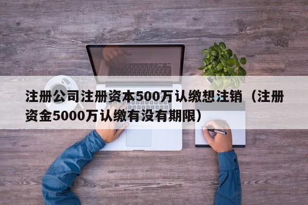 注册公司注册资本500万认缴想注销（注册资金5000万认缴有没有期限）