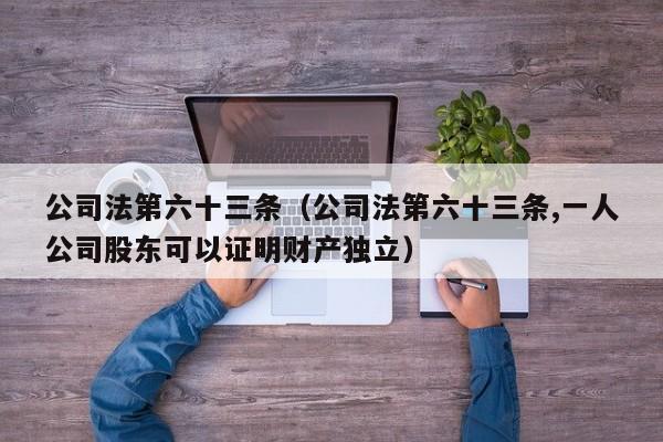 公司法第六十三条（公司法第六十三条,一人公司股东可以证明财产独立）