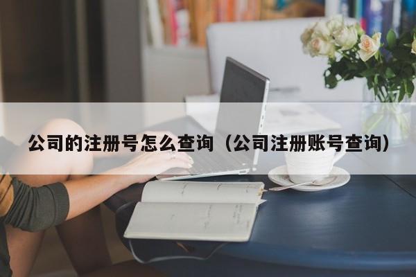 公司的注册号怎么查询（公司注册账号查询）