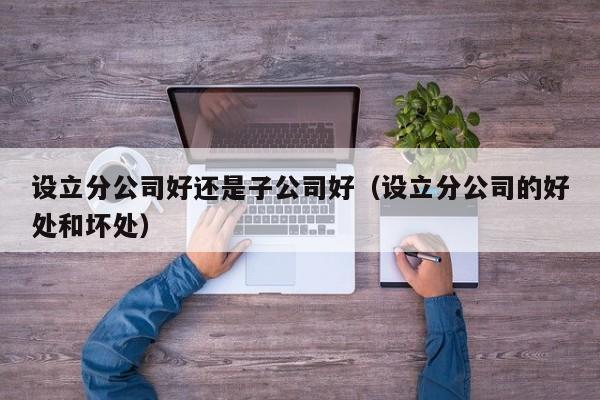 设立分公司好还是子公司好（设立分公司的好处和坏处）
