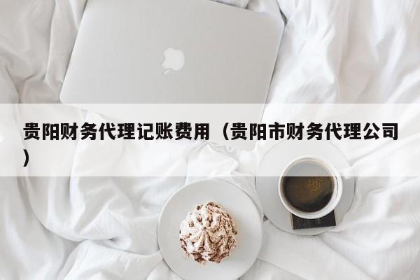 贵阳财务代理记账费用（贵阳市财务代理公司）