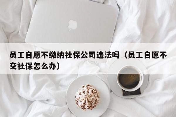 员工自愿不缴纳社保公司违法吗（员工自愿不交社保怎么办）