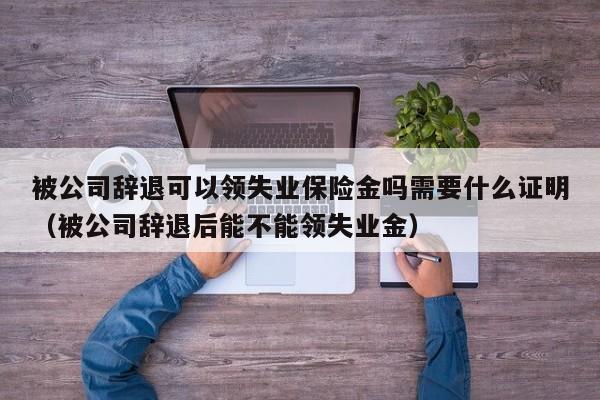 被公司辞退可以领失业保险金吗需要什么证明(被公司辞退后能不能领失业金)